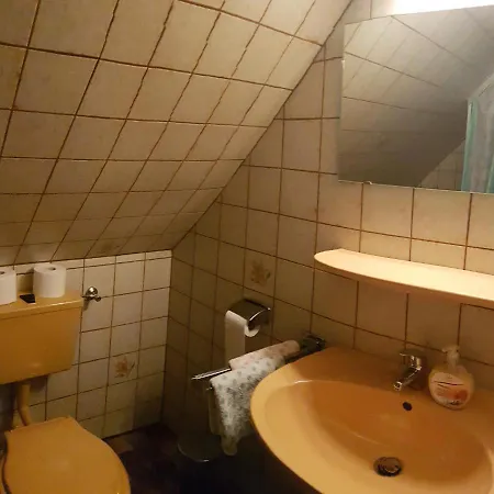 Hausnordlicht Dachspitze 2 Dornumergrode