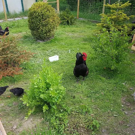 Bed and breakfast Hausnordlicht Dachspitze 2